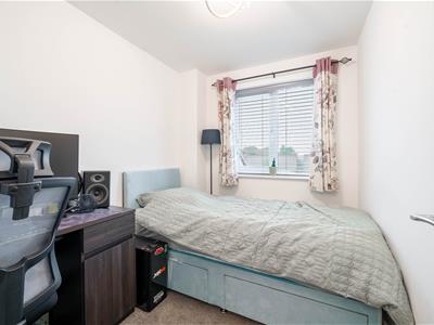 Picture 15